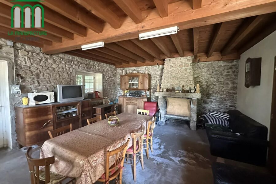 Maison à vendre à Lapte — Vue nature — photo 5