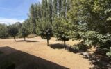 Appartement à vendre à Le Touquet-Paris-Plage — Vue parc & jardin — photo 13