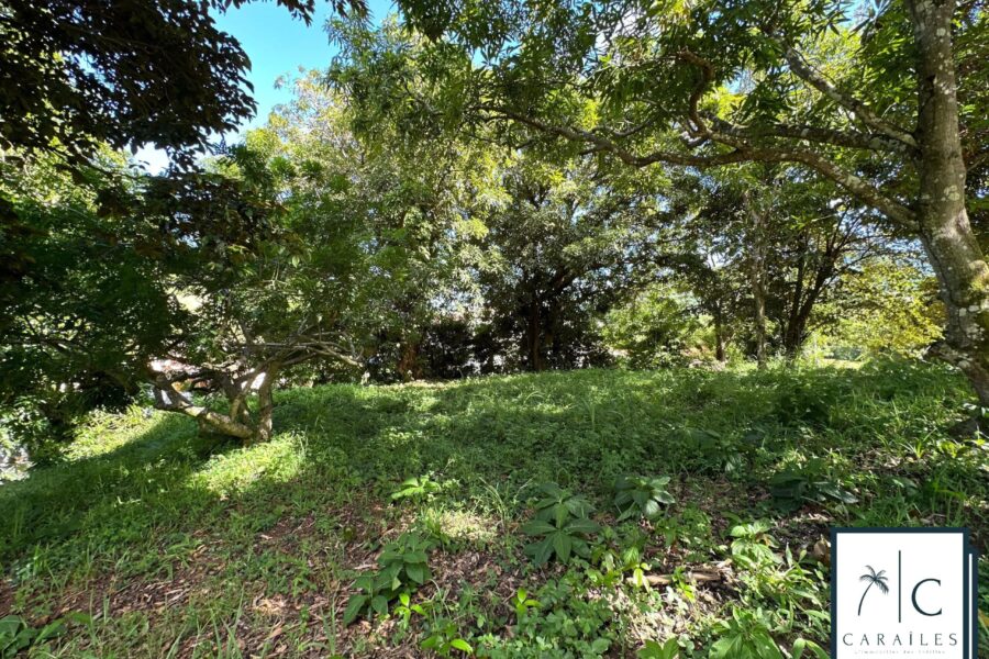 Terrain à vendre à Le François — photo 10