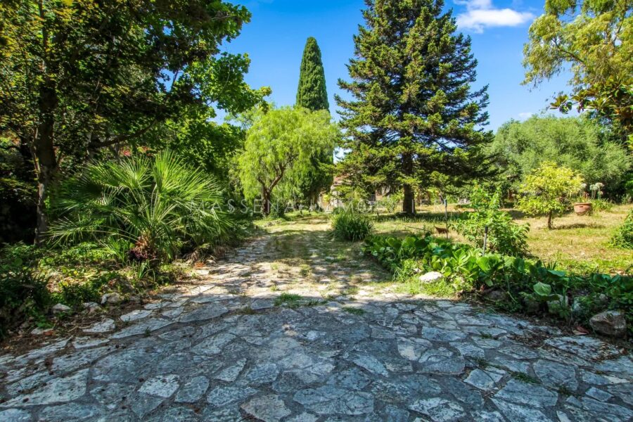 Maison à vendre à Cagnes-sur-Mer — Vue nature — photo 27