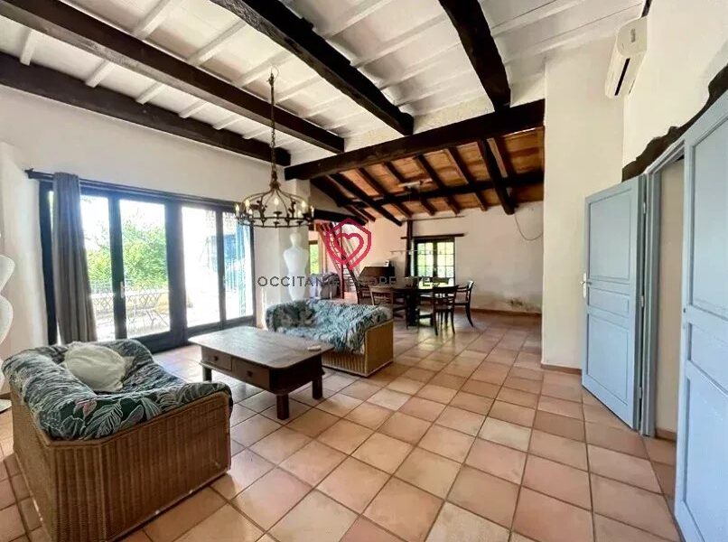 Maison à vendre à L&rsquo;Isle-en-Dodon — Vue montagne — photo 16