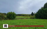 Terrain à vendre à La Brède — Vue dégagée — photo 1