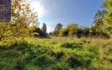 Maison à vendre à Vandenesse-en-Auxois — Vue nature — photo 1