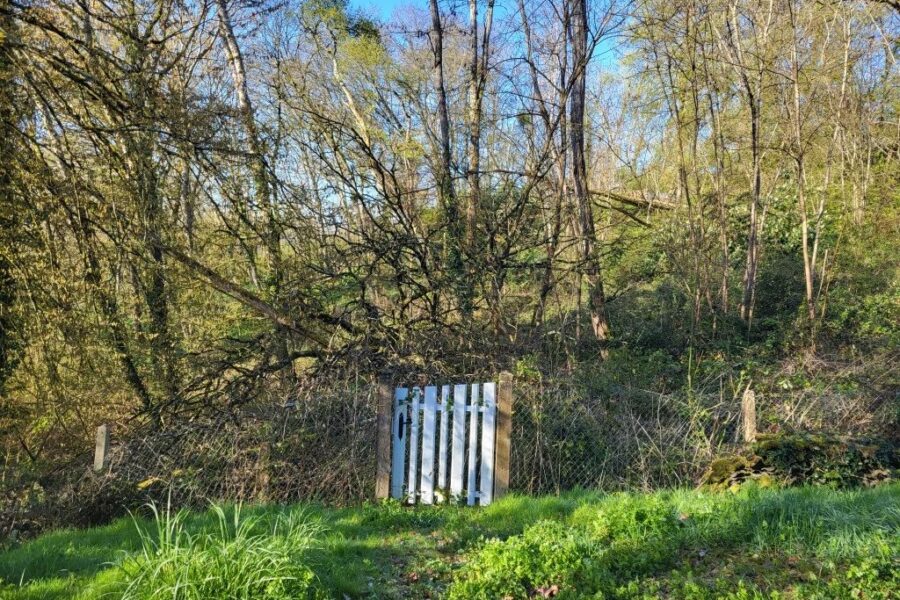 Maison à vendre à Limanton — Vue montagne — photo 22