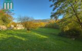 Maison à vendre à Saint-Étienne — Vue parc & jardin — photo 1