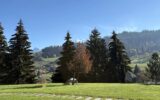 Appartement à vendre à Combloux — Vue montagne — photo 16