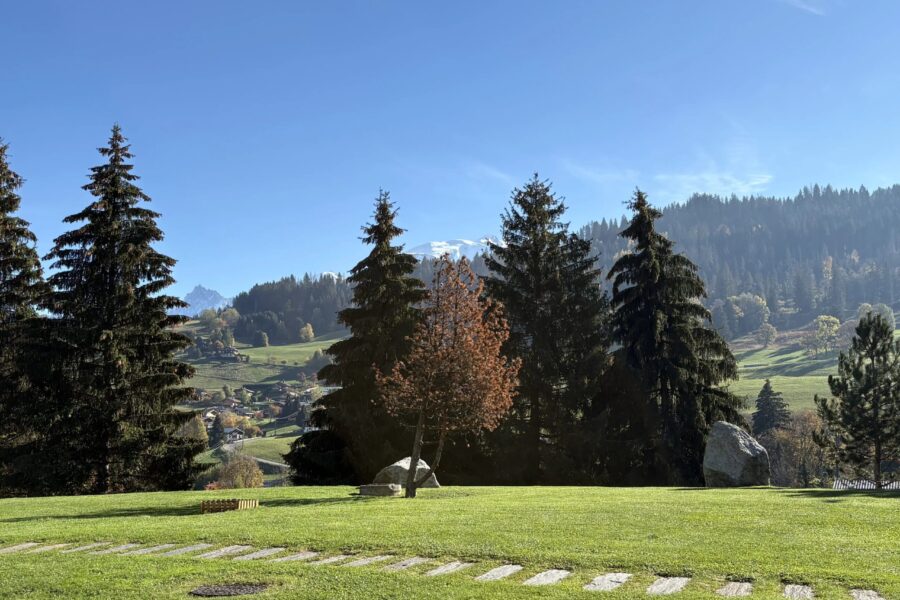 Appartement à vendre à Combloux — Vue montagne — photo 16