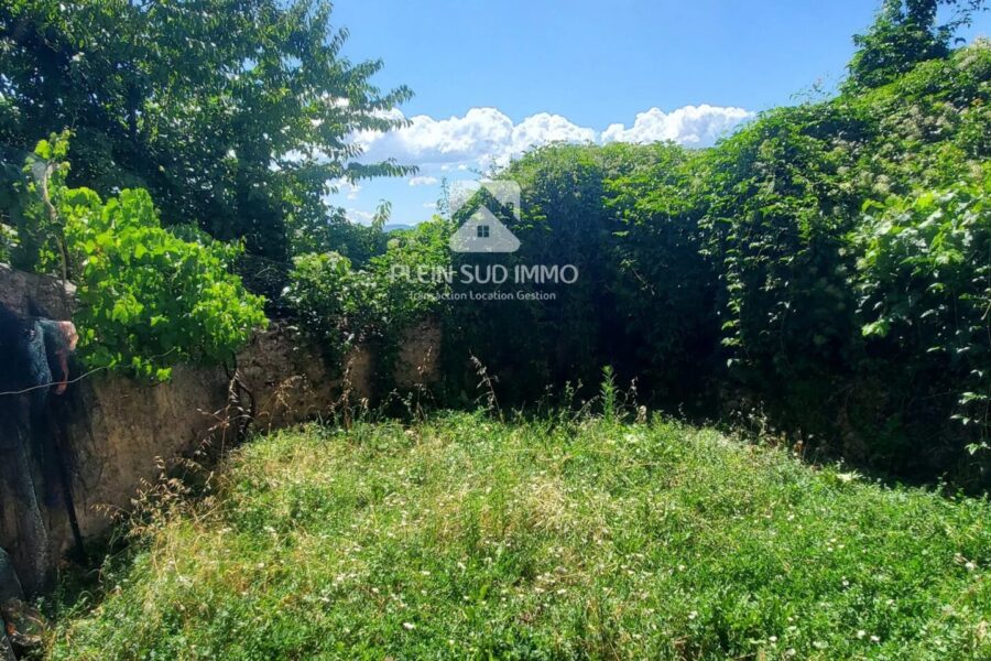 Maison à vendre à Puimoisson — Vue montagne — photo 4