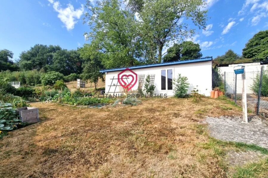 Maison à vendre à Mazères-sur-Salat — Vue montagne — photo 9