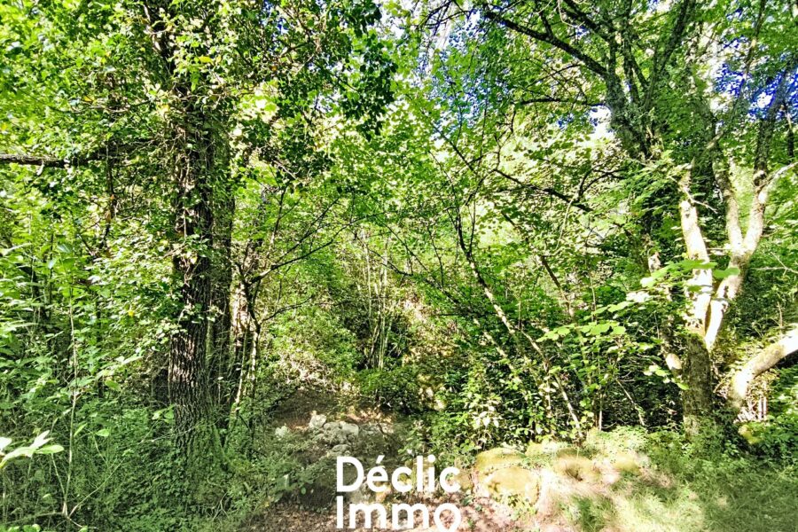 Terrain à vendre à Grasse — Vue dégagée — photo 6