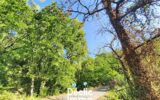 Terrain à vendre à Grasse — Vue dégagée — photo 4