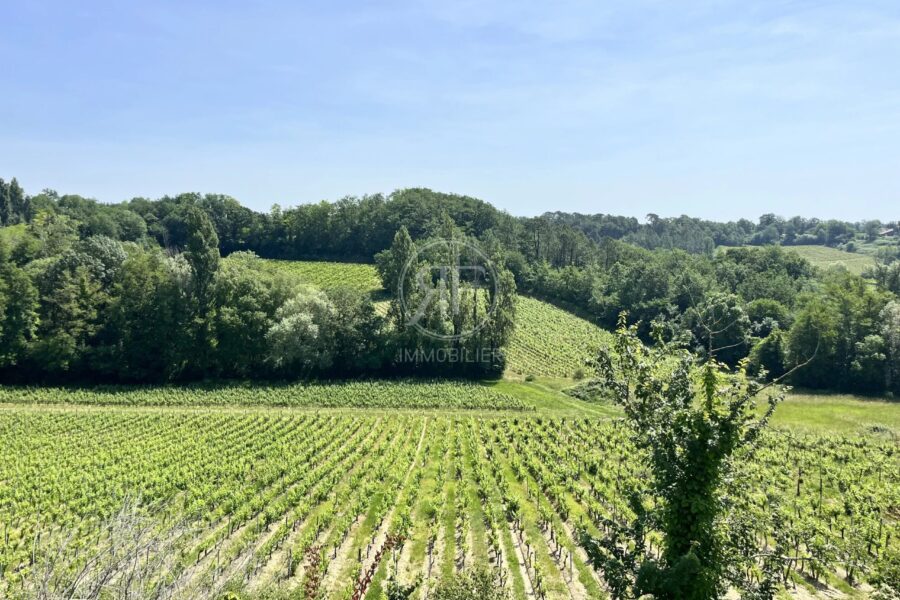 Maison à vendre à Puisseguin — Vue nature — photo 1