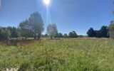 Maison à vendre à Saint-Martin-de-Gurson — Vue nature — photo 12