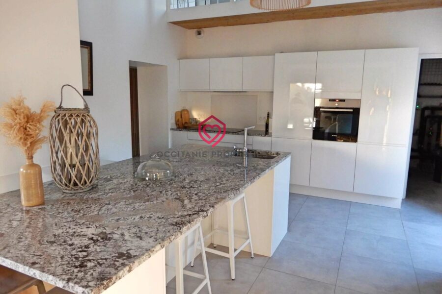 Maison à vendre à Villefranche-de-Lauragais — Vue montagne — photo 14