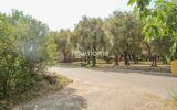 Maison à vendre à Châteauneuf-Grasse — Vue parc & jardin — photo 20