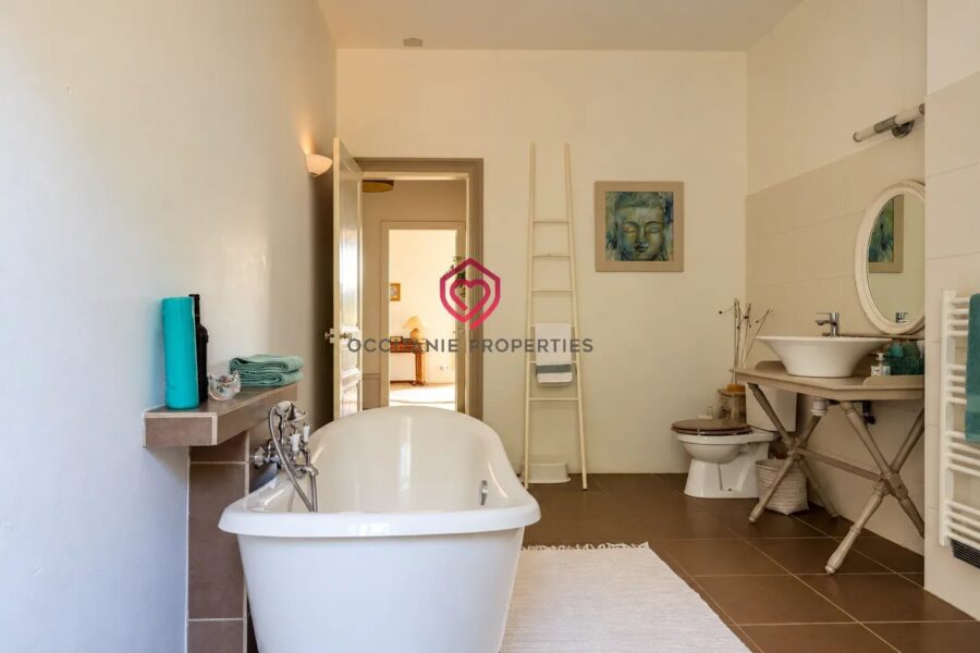 Maison à vendre à Roquebrun — Vue fleuve — photo 17