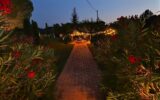 Maison à vendre à Draguignan — Vue parc & jardin — photo 25