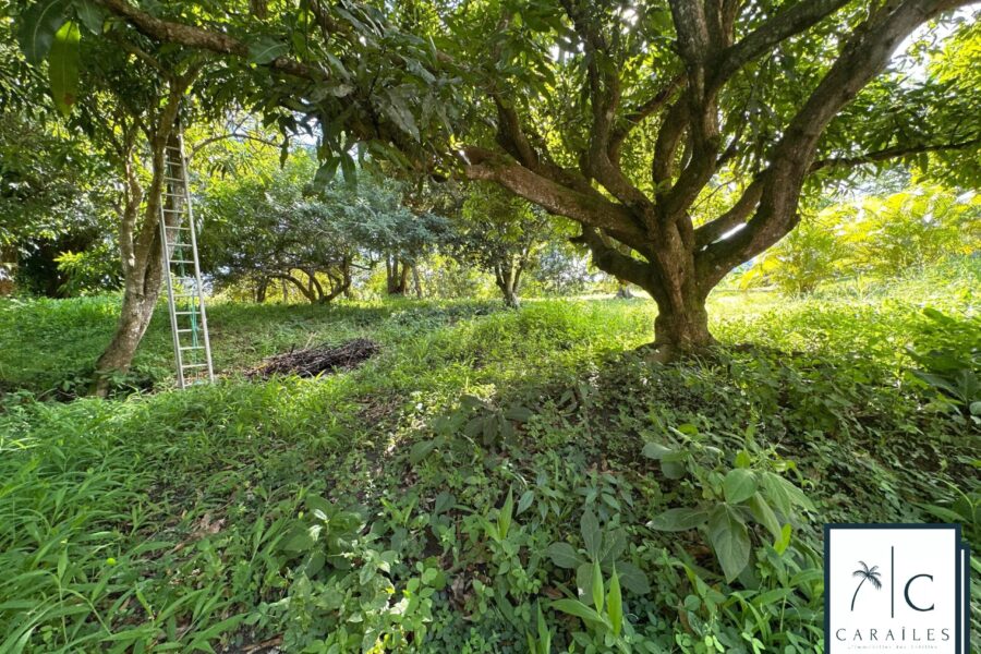 Terrain à vendre à Le François — photo 5