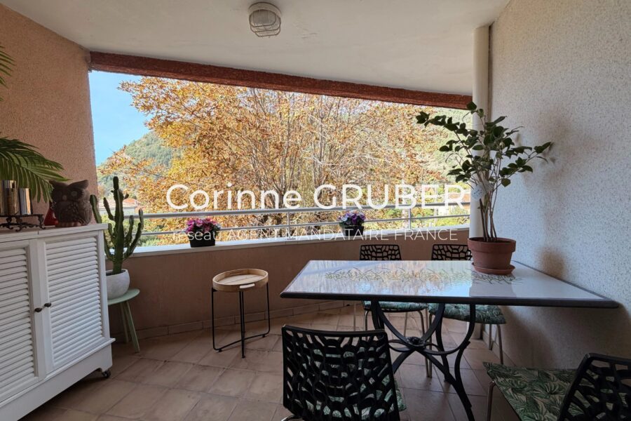 Appartement à vendre à Digne-les-Bains — Vue montagne — photo 2