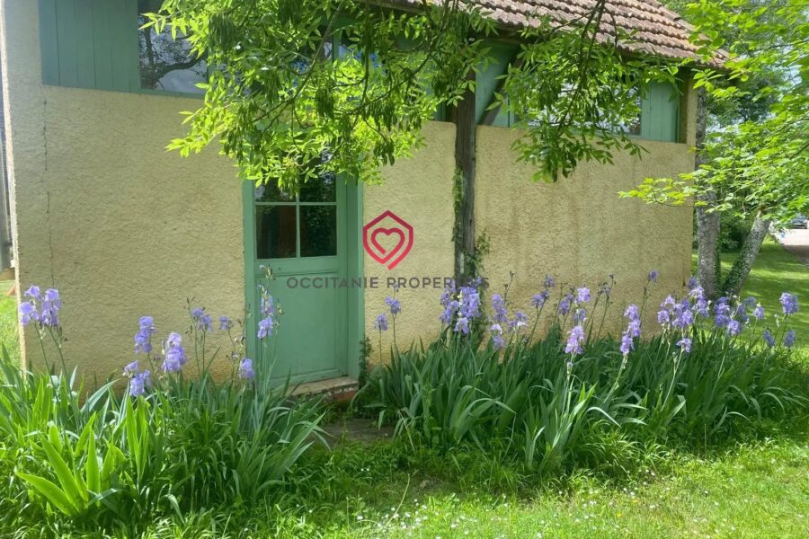 Maison à vendre à Loussous-Débat — Vue nature — photo 50