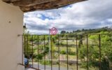 Maison à vendre à La Livinière — Vue nature — photo 1