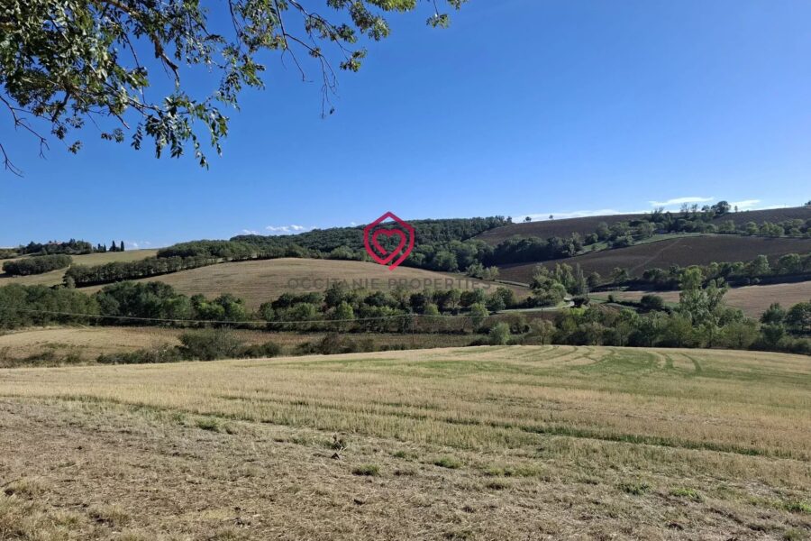 Maison à vendre à Salles-sur-l&rsquo;Hers — Vue nature — photo 16
