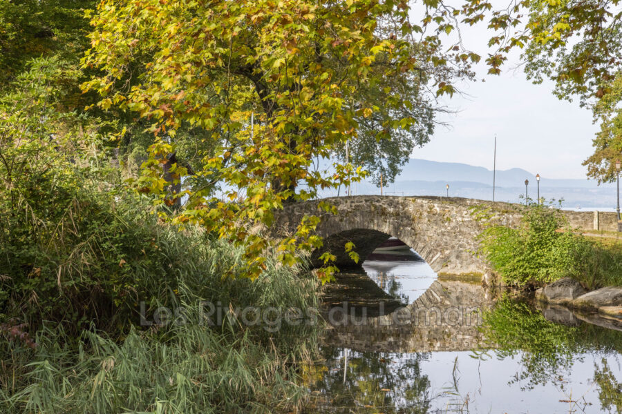 Terrain à vendre à Sciez — Vue lac — photo 6