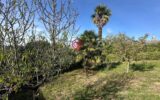 Maison à vendre à Viella — Vue montagne — photo 9