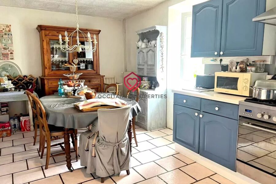 Maison à vendre à Castelbiague — Vue nature — photo 11