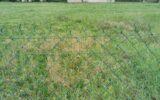 Terrain à vendre à Laboutarie — photo 2