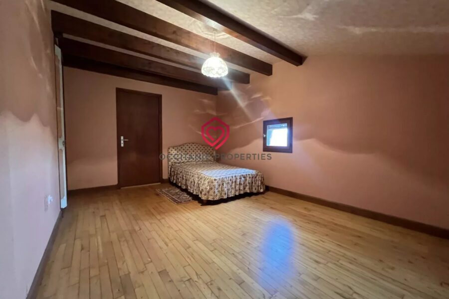 Maison à vendre à Saint-Lizier — Vue montagne — photo 13