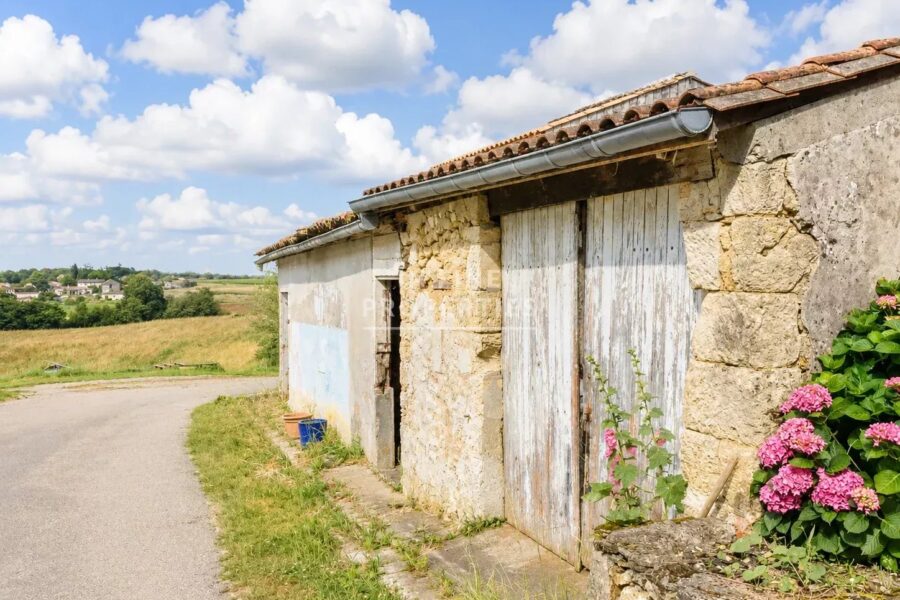 Maison à vendre à Sainte-Croix-du-Mont — Vue nature — photo 12