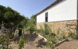 Maison à vendre à Cannes — Vue parc & jardin — photo 15