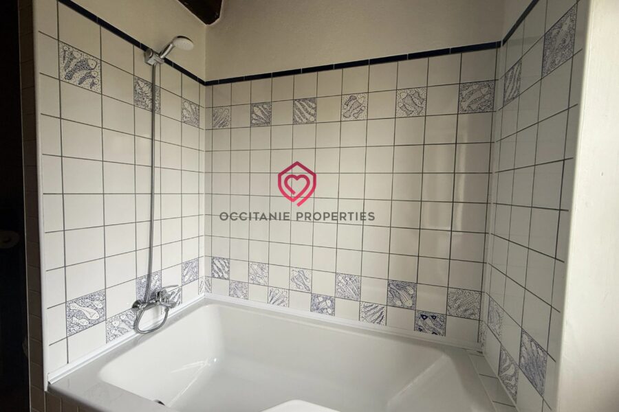 Maison à vendre à Arzens — Vue montagne — photo 15