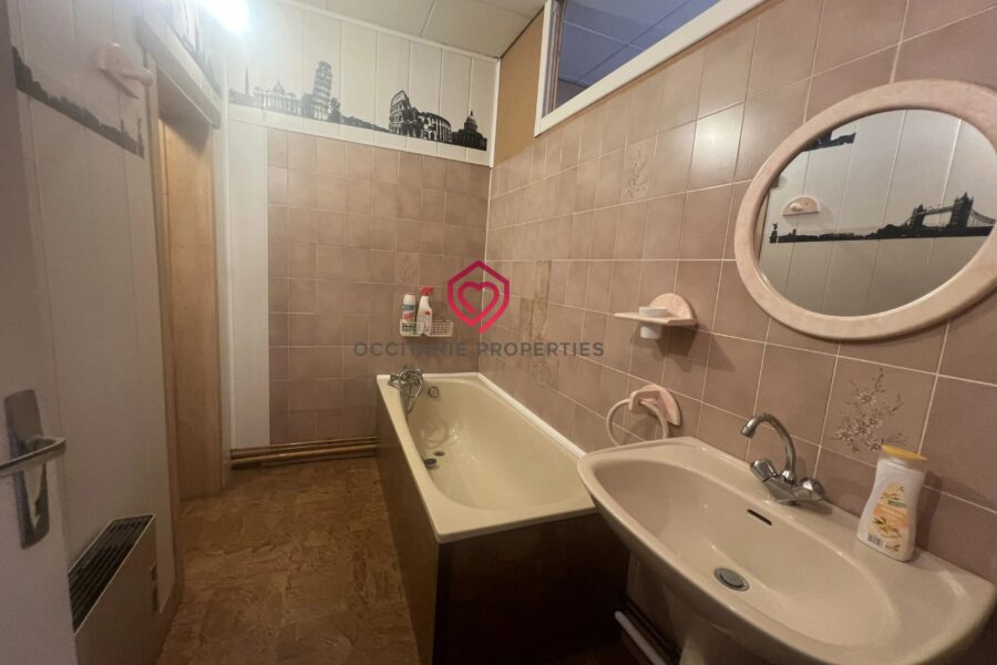 Maison à vendre à Saint-Girons — Vue sur la ville — photo 29