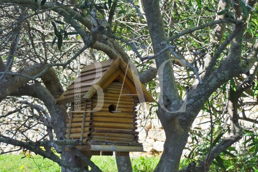 Maison à vendre à Cannes — Vue mer — photo 23