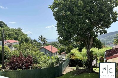 Maison à vendre à Le Morne-Rouge