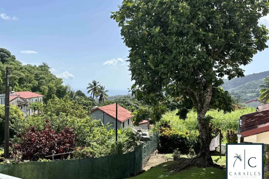Maison à vendre à Le Morne-Rouge — Vue nature — photo 1