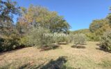 Maison à vendre à Entrecasteaux — Vue parc & jardin — photo 11
