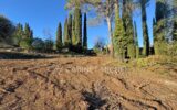 Terrain à vendre à Valbonne — Vue nature — photo 5