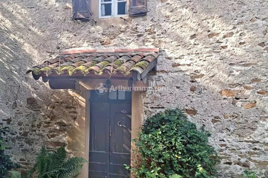 Maison à vendre à Saint-Amans-Valtoret — Vue montagne — photo 2