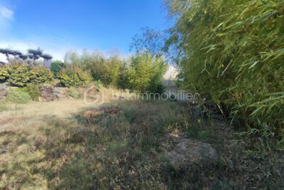 Terrain à vendre à Mèze
