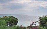 Appartement à louer à Ajaccio — Vue mer — photo 2
