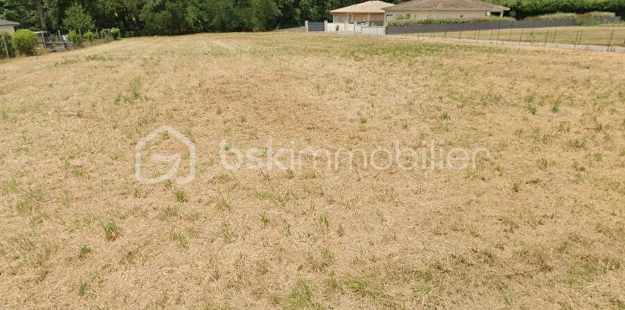 Terrain à vendre à Saint-Caprais-de-Blaye — Vue dégagée — photo 1