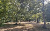 Terrain à vendre à Grayan-et-l&rsquo;Hôpital — Vue dégagée — photo 1