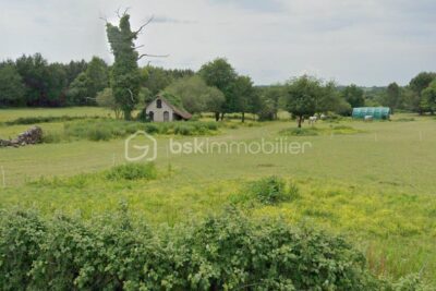 Terrain à vendre à Oriolles