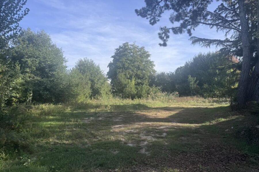 Terrain à vendre à Vigneux-de-Bretagne — Vue dégagée — photo 1