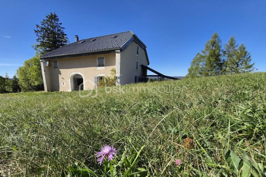Maison à vendre à Longchaumois — Vue nature — photo 2