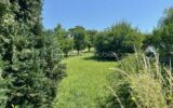 Terrain à vendre à Apach — Vue nature — photo 2