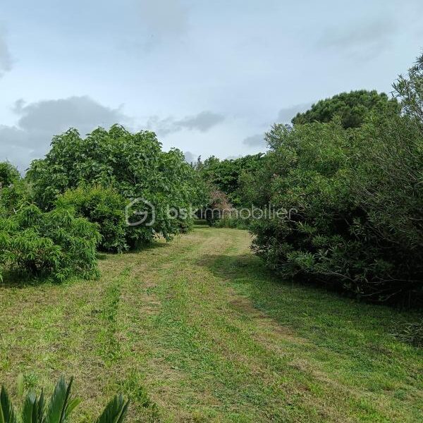 Terrain à vendre à Canet-en-Roussillon — photo 1
